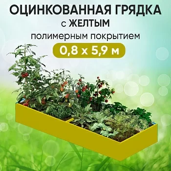 Грядка желтая (0,8 х 5,9)