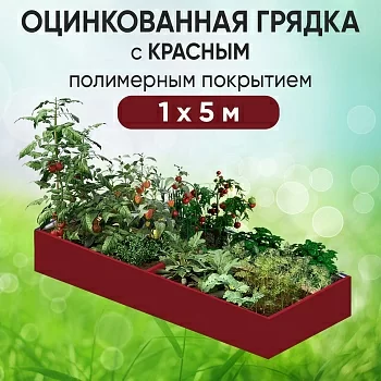 Грядка красная (1 х 5)
